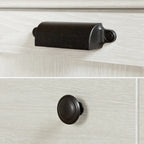 Winter Oak & Fall Oak Rustic Door Chest with 5 Drawers